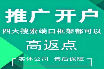 专业SEM代运营公司案例分析